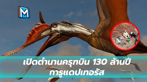 เปิดตำนานครุฑบิน 130 ล้านปี “การูแดปเทอรัส”