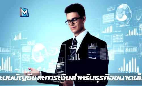 "ระบบบัญชีและการเงินสำหรับธุรกิจขนาดเล็ก"