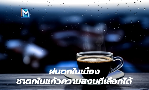 ฝนตกในเมือง ชาตกในแก้วความสงบที่เลือกได้