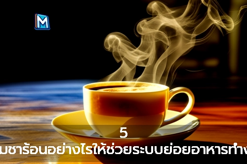 5 กับวิธีดื่มชาร้อนอย่างไรให้ช่วยระบบย่อยอาหารทำงานดีขึ้น