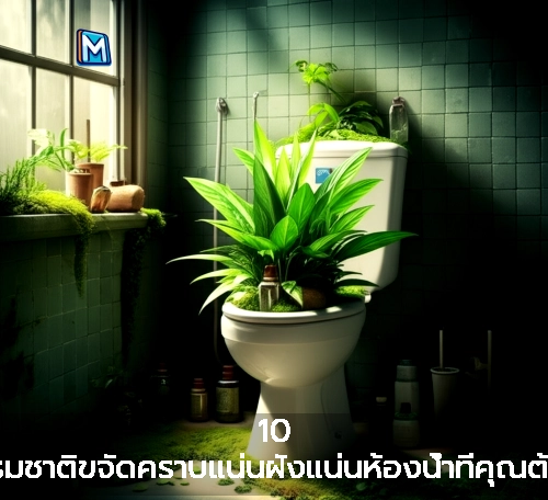 10 สูตรธรรมชาติขจัดคราบแน่นฝังแน่นห้องน้ำที่คุณต้องลอง!