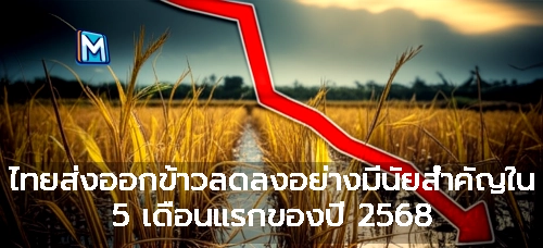 ไทยส่งออกข้าวลดลงอย่างมีนัยสำคัญใน 5 เดือนแรกของปี 2568