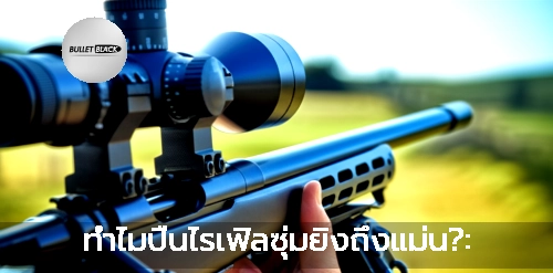 ทำไมปืนไรเฟิลซุ่มยิงถึงแม่น?: