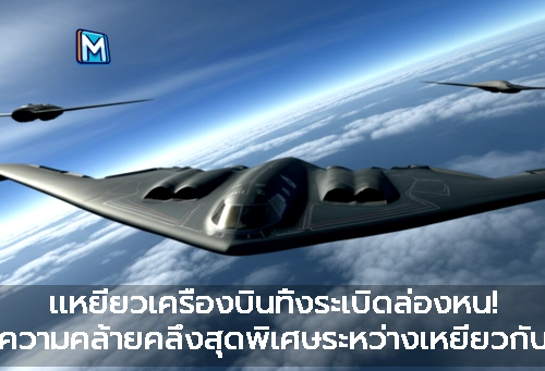 ภาพแนะนำ: เเหยี่ยวเครื่องบินทิ้งระเบิดล่องหน! ความคล้ายคลึงสุดพิเศษระหว่างเหยี่ยวกับ B-2 Spirit