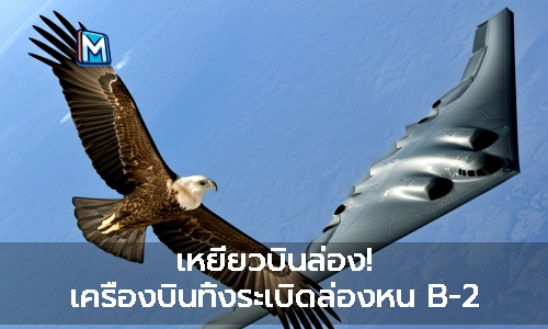 เหยี่ยวบินล่อง! เครื่องบินทิ้งระเบิดล่องหน B-2 Spirit คล้ายเหยี่ยวไร้เทียม!