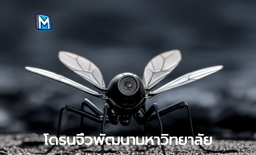 โดรนจิ๋วพัฒนามหาวิทยาลัย