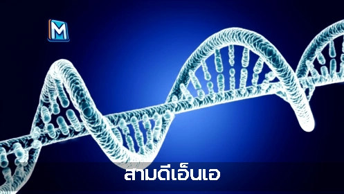 สามดีเอ็นเอ