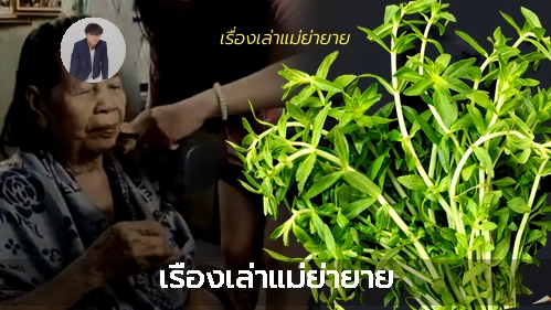 Thumbnail ของ เรื่องเล่าแม่ย่ายาย