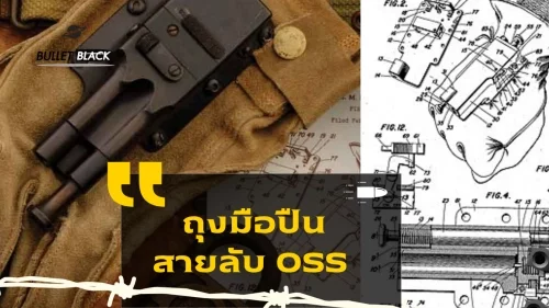 ปืนถุงมือ 1944