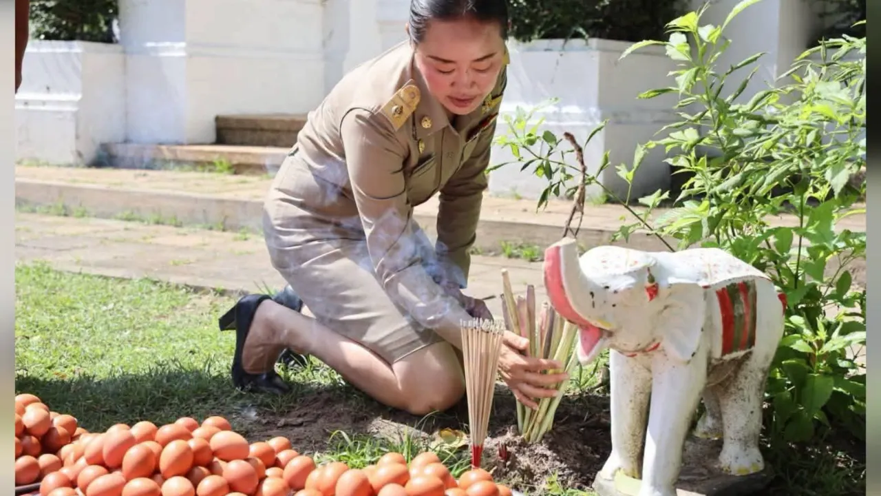 ปักแล้วต้องถอน พิธีพื้นบ้านอุบลราชธานี ส่งท้ายงานแห่เทียนเข้าพรรษา